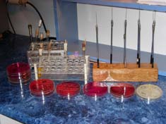 mikrobioloska_laboratorija